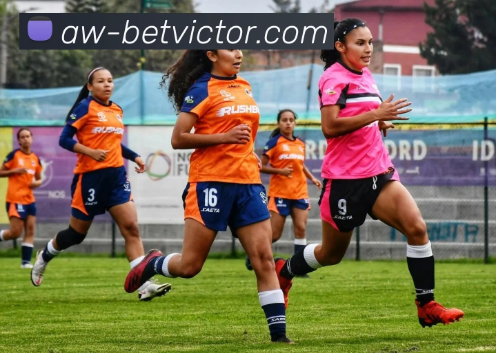 betvictor伟德官网发展历程